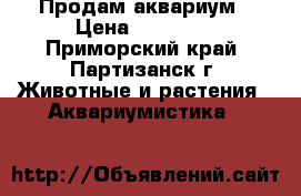 Продам аквариум › Цена ­ 13 000 - Приморский край, Партизанск г. Животные и растения » Аквариумистика   